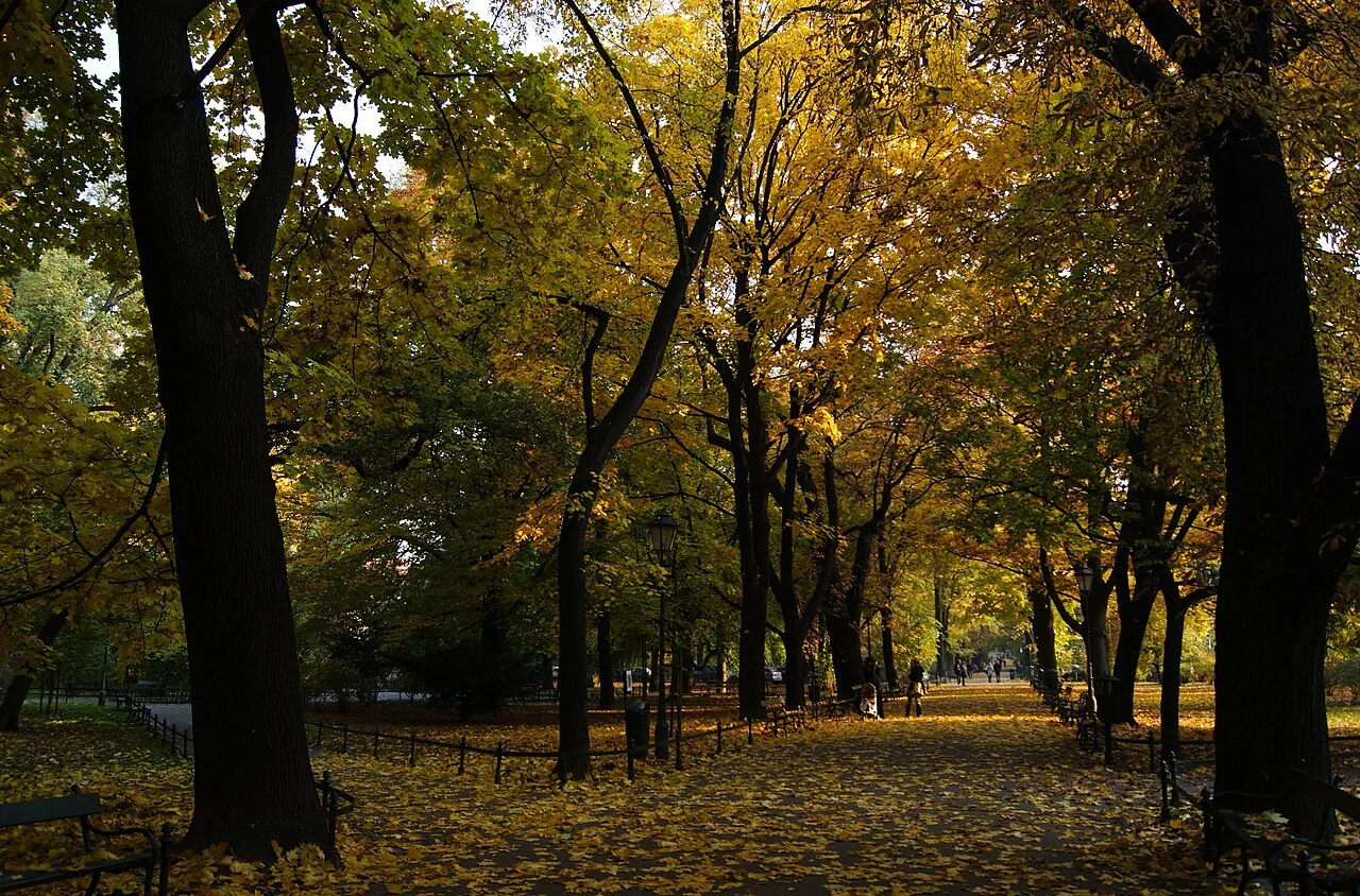 Kraków ostrzeżenie przed umiarkowanie niską temperaturą